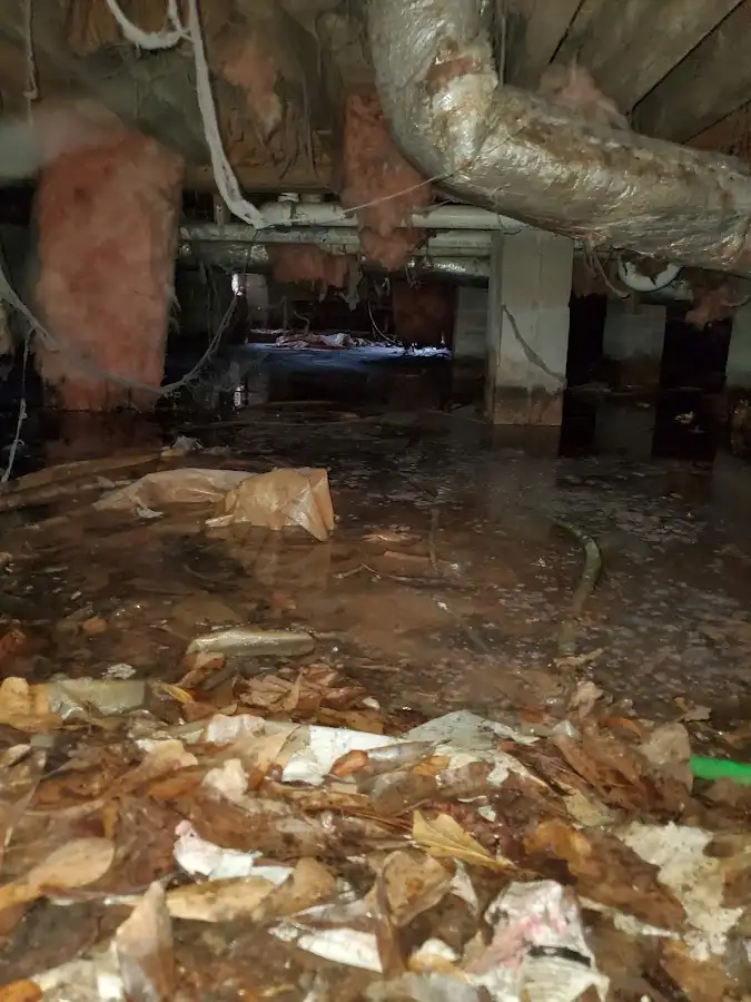 Crawl space flood assessment for Commercial Water Damage Restoration in Magnolia