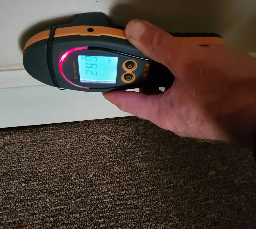 Moisture detection at baseboard during Sewage Cleanup & Sanitation in Magnolia